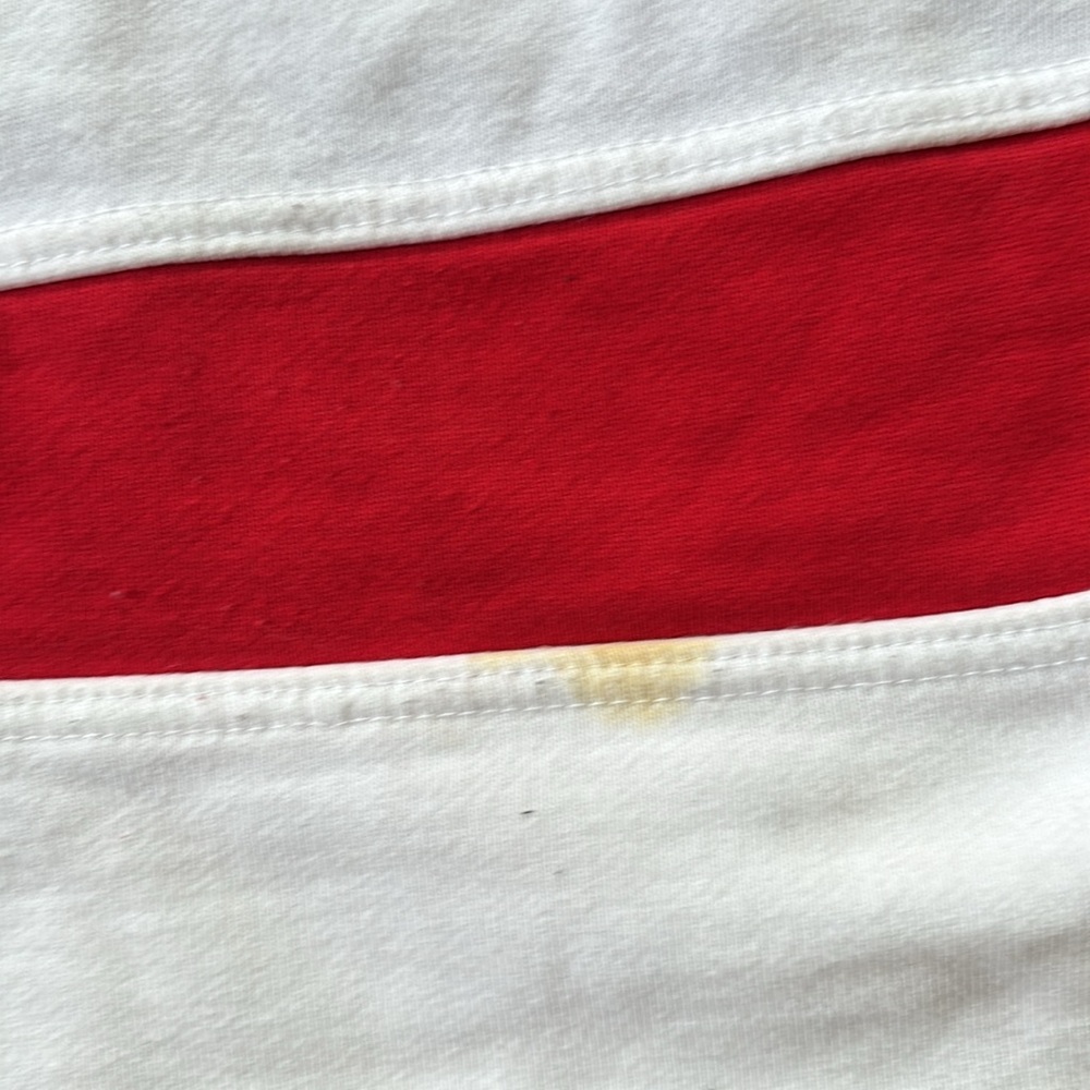 Vintage Champion Campus Heritage Mens XL Cotton Graphic Wisconsin Hockey Hoodie - Picture 7 of 7